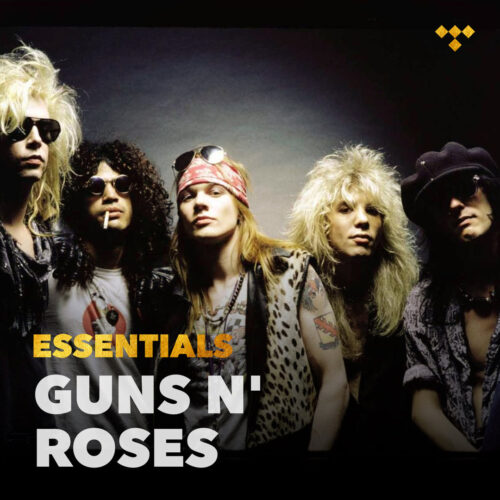 Guns N' Roses Essentials